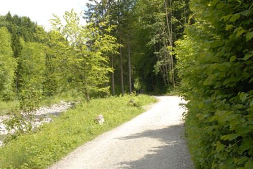 Start auf breitem Forstweg in das Lainbachtal