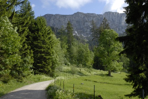 Blick auf die Benediktenwand beim Aufstieg auf die Tutzinger Hütte durch das Lainbachtal