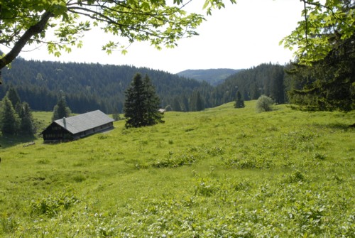 Aufstieg zur Tutzinger Hütte durch das Lainbachtal