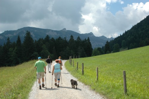 Weg von Arzbach durch das Längental