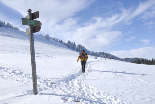 Winterwanderung von Schliersee (780m) über Gindelalm (1242m) nach Tegernsee (735 m)
