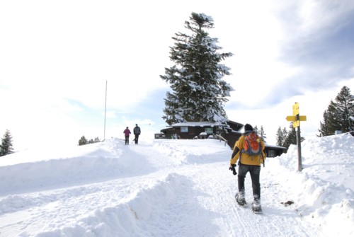 Winterwanderung von Schliersee (780m) über Gindelalm (1242m) nach Tegernsee (735 m)