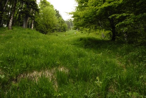 Vom Ort Walchensee am Walchensee auf den Herzogstand