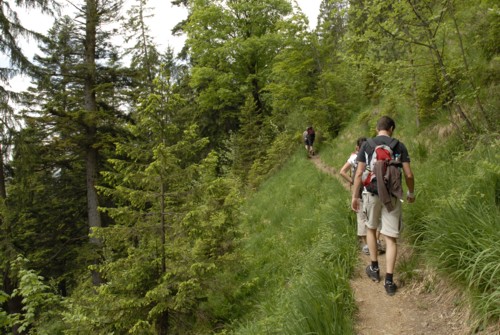 Vom Ort Walchensee am Walchensee auf den Herzogstand