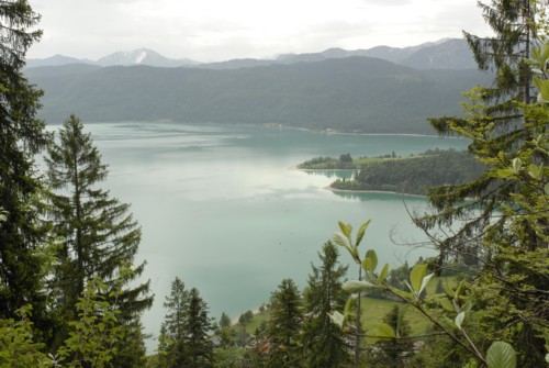 Vom Ort Walchensee am Walchensee auf den Herzogstand