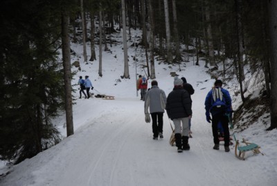 Rodelbahn von der Kalaalm nach Schneeberg