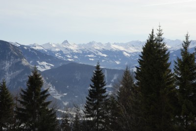 Winterwanderung von der Kalaalm zum Höhlensteinhaus mit Ausblick auf die Kitzbühler und Zillertaler Alpen