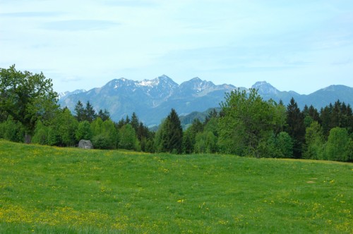 Aussicht auf die Bayerischen Voralpen im Aufstieg von Samerberg