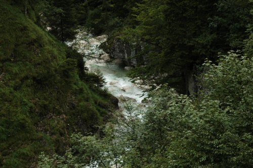 Blick auf den Sparchenbach auf dem Weg von Hinterbärenbad nach Kufstein