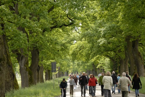 Eichenalleefest am 15.05.2011 zwischen Wessling und Seefeld