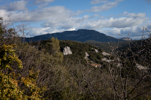 Languedoc Roussillon | Pic Saint Loup