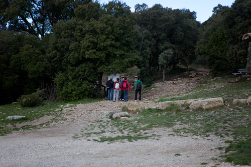 Languedoc Roussillon | Pic Saint Loup