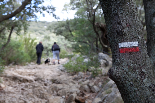Languedoc Roussillon | Pic Saint Loup