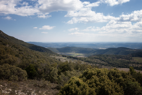 Languedoc Roussillon | Pic Saint Loup