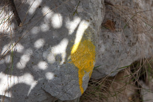 Languedoc Roussillon | Pic Saint Loup