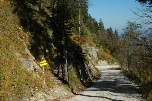 Forststrasse auf dem Weg nach Grünsbach