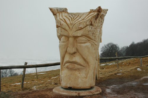 Schneeschuhwanderungen in der Umgebung von Kirchzarten