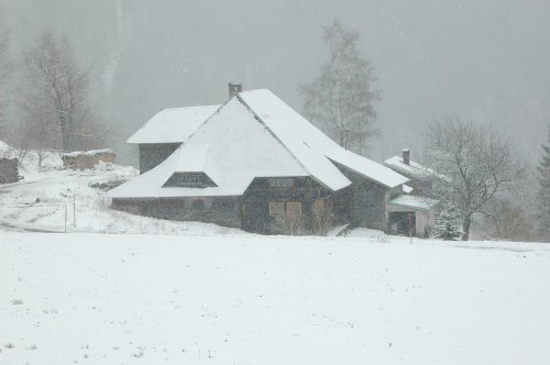 Schneeschuhwanderungen in der Umgebung von Kirchzarten