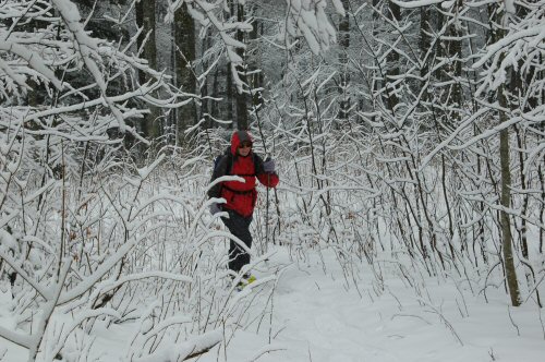 Schneeschuhwanderungen in der Umgebung von Kirchzarten