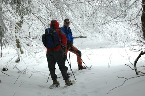 Schneeschuhwanderungen in der Umgebung von Kirchzarten