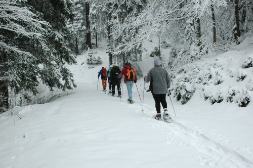 Schneeschuhwanderungen in der Umgebung von Kirchzarten
