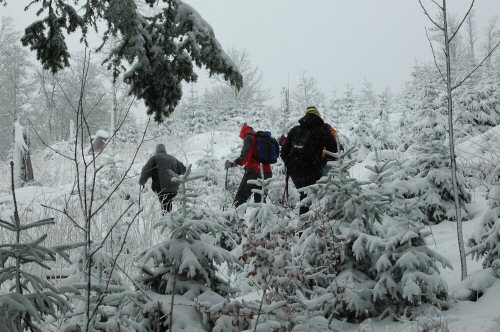 Schneeschuhwanderungen in der Umgebung von Kirchzarten