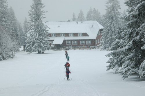 Schneeschuhwanderungen in der Umgebung von Kirchzarten