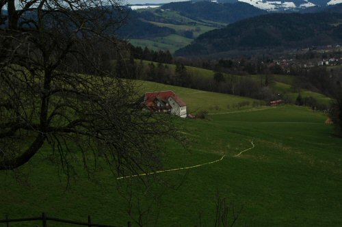 Schneeschuhwanderungen in der Umgebung von Kirchzarten