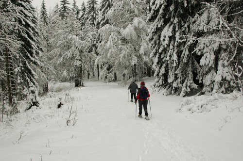 Schneeschuhwanderungen in der Umgebung von Kirchzarten