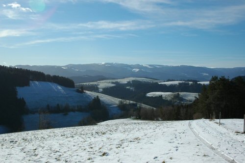 Schneeschuhwanderungen in der Umgebung von Kirchzarten