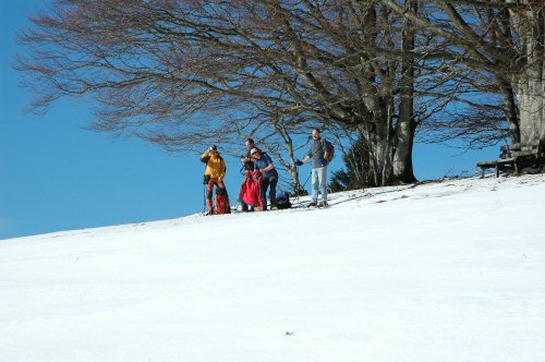 Schneeschuhwanderungen in der Umgebung von Kirchzarten