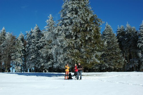 Schneeschuhwanderungen in der Umgebung von Kirchzarten
