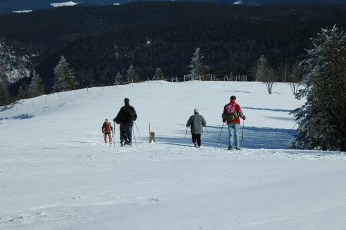 Schneeschuhwanderungen in der Umgebung von Kirchzarten