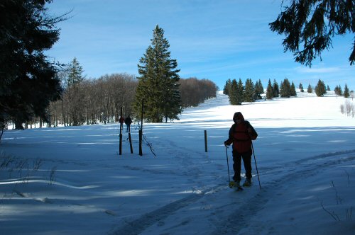 Schneeschuhwanderungen in der Umgebung von Kirchzarten
