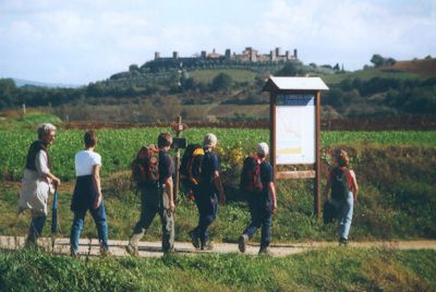 durch die Staggia-Niederung mit dem Festungsstädtchen Monteriggioni im Hintergrund