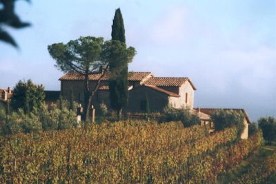 Weingut im Staggia-Tal bei Monteriggioni