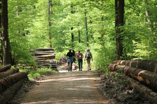 Kloster Weltenburg | Donaudurchbruch | Kelheim