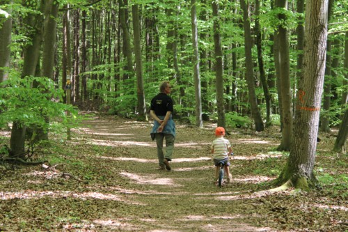Kloster Weltenburg | Donaudurchbruch | Kelheim