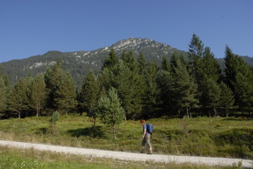 Ammergauer | Garmisch | Stepbergalm