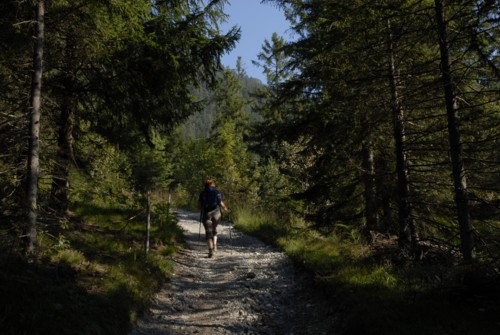 Ammergauer | Garmisch | Stepbergalm