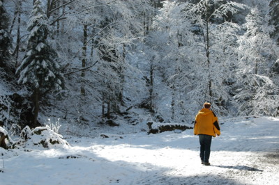 Winterweg von Bad Wiessee zur Aueralm