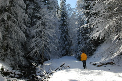 Winterweg von Bad Wiessee zur Aueralm
