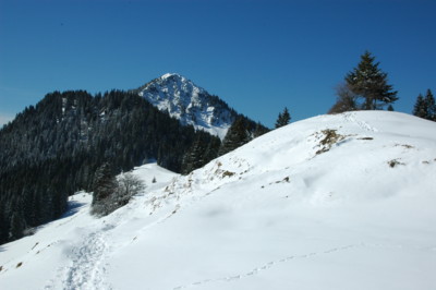 Blick von der Sonnenterrasse der Aueralm