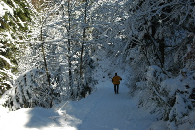 Abstieg von der Aueralm nach Bad Wiessee