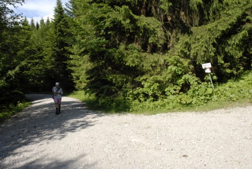 Aufstieg zur Tutzinger H&uuml;tte durch das Lainbachtal