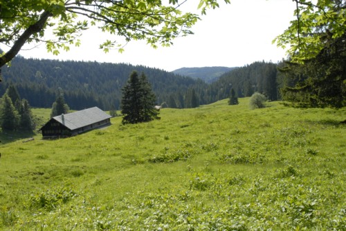 Aufstieg zur Tutzinger H&uuml;tte durch das Lainbachtal