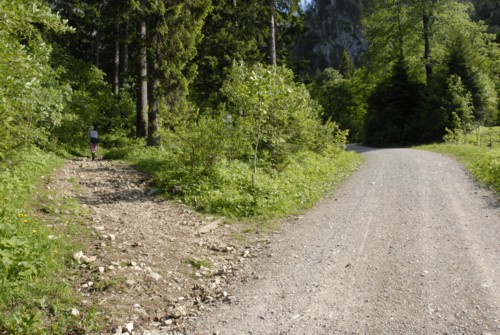 Aufstieg zur Tutzinger H&uuml;tte durch das Lainbachtal