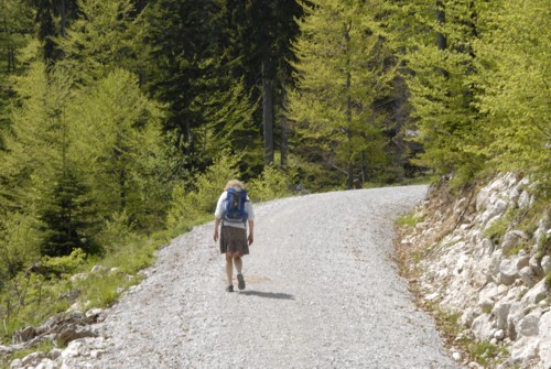 Benediktenwand | Staffelalm | Kochel