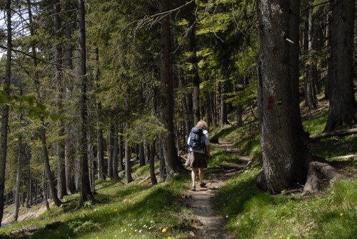 Benediktenwand | Staffelalm | Kochel