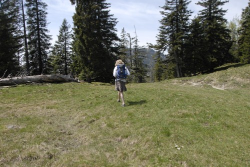 Benediktenwand | Staffelalm | Kochel